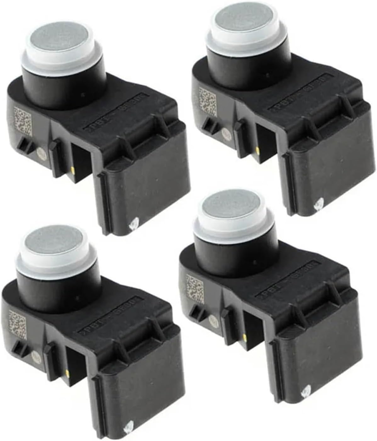 山採り コハウチワカエデ ミヤマガマズミ 混合株 - 植物/観葉植物 山